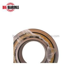 Cylinder Roller Bearing Nu406 Used for Motor Water Pump Cylindrical Roller
