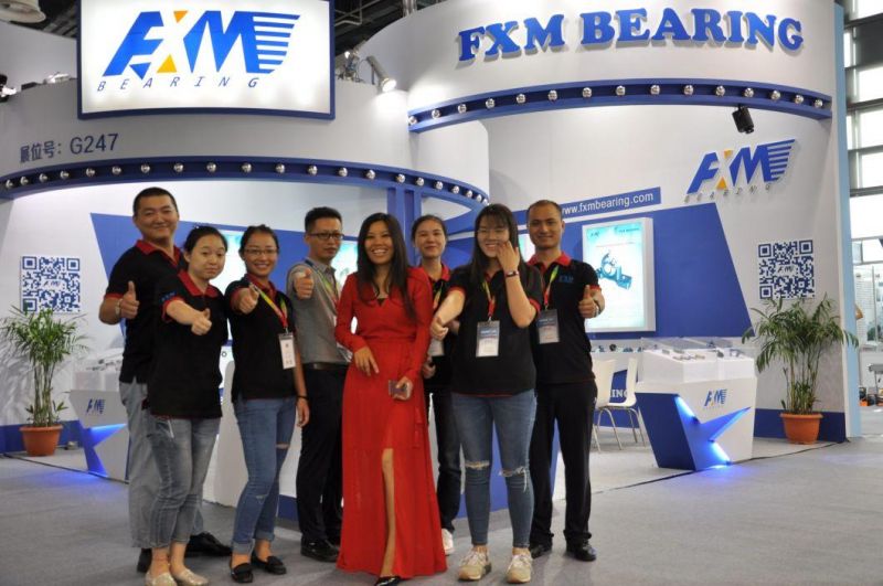 Pillow Block Bearing Auto Bearing Insert Bearing Agriculture Pillow Block Bearing
