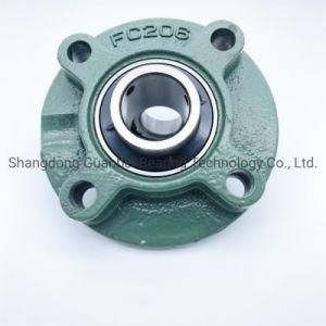 Ball Bearing Pillow Block Bearing Stainless Steel with Cast Iron Flange Bearing Housing for Agricultural Machinery Motorcycle Parts Auto Parts