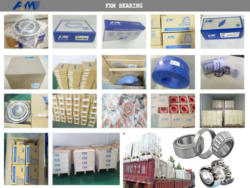 Pillow Block Bearing Auto Bearing Insert Bearing Agriculture Pillow Block Bearing