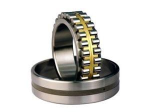 Double-Row Cylindrical Roller Bearings