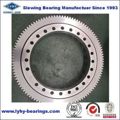 Small Size Slewing Ring Bearing with External Gear Eb1.22.0308.200-1spp N