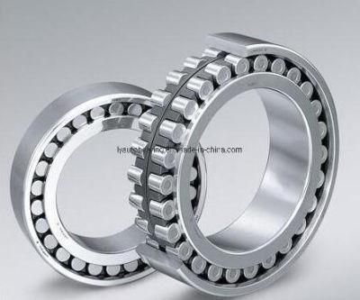 Cylindrical Roller Bearing N1080em/Nu1080em/Nj1080em