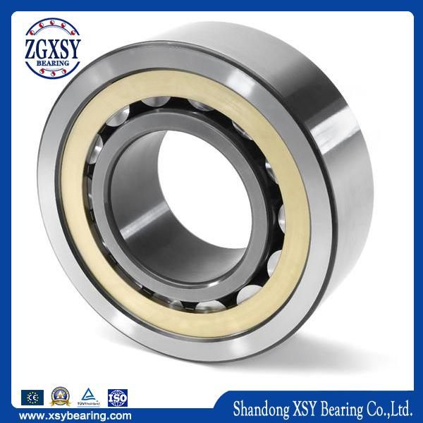 New Bearing Cylindrical Roller Bearing (NU305ET Cylindrical Roller Bearing)