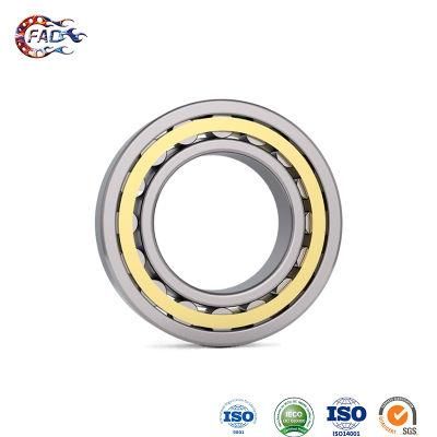 Xinhuo Bearing China Self Aligning Bearing Custom 5X10X4 Bearing Nj311e Double Cylindrical Roller Bearing