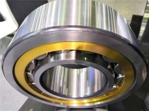 High Performance Nu1040 Ecml C3 Bearing for Large and Medium-Sized Electric Motor