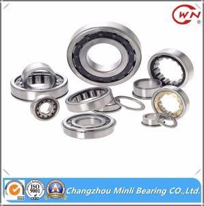High Precision Cylindrical Roller Bearing Nu206e of Good Price