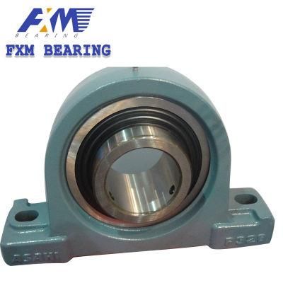 Two Bolt Pillow Blocks/Pioow Block Bearing/ISO 9001: 2015 Certificates