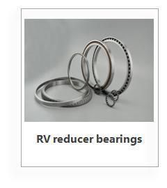 RV Reducer Bearing