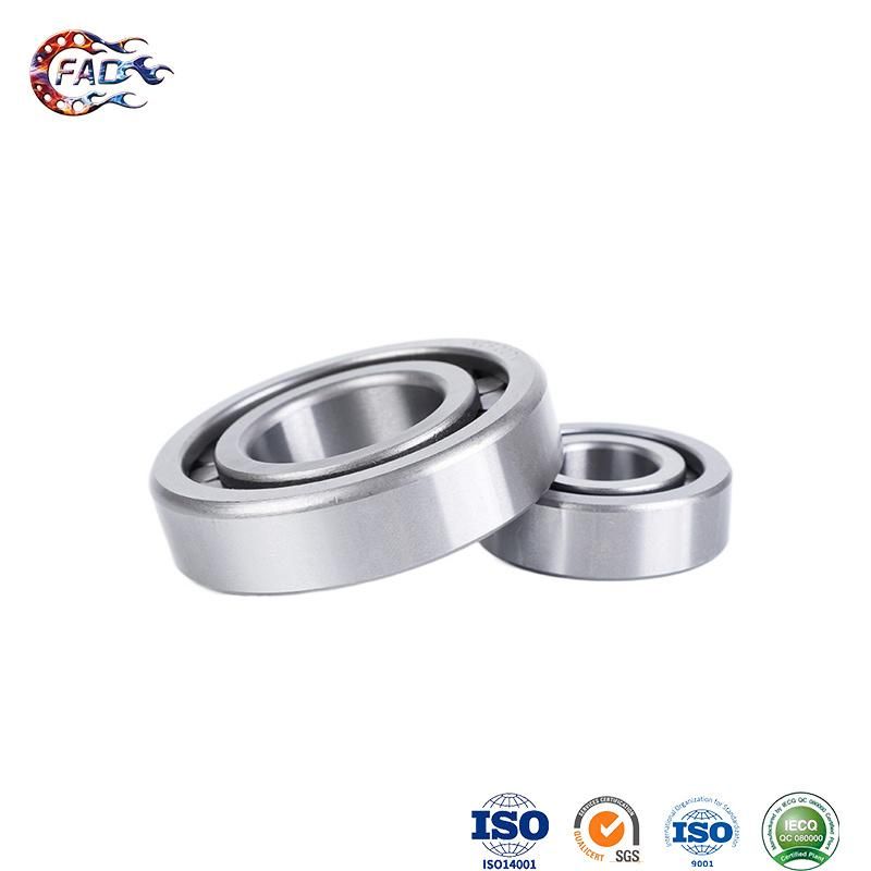 Xinhuo Bearing China Pivot Bearing Custom 18307 2RS NF314e Full Complement Cylindrical Roller Bearings
