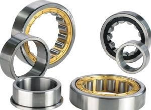 Own Factory Made International Standard Cylindrical Roller Bearings217