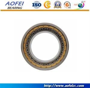 China Factory supply NJ1022 Cylindrical Roller Bearing with OEM