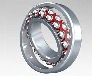 Precision Instrument Self-Aligning Ball Bearing 1306 1306K 1306ATN 1306ATN/C3
