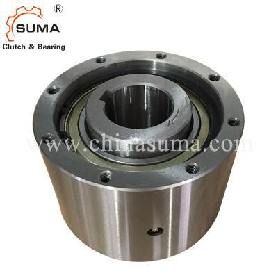 Mz-G Cam Clutch Bearing Used as Backstop for Industrial Machinery