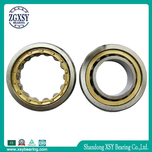 Cylindrical Roller Bearing Single Row 300*460*74mm Nu1060