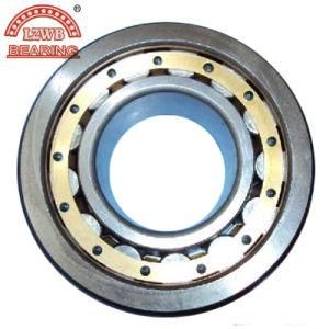 Hot Sales Precision Quality Cylindrical Roller Bearing (NF205)