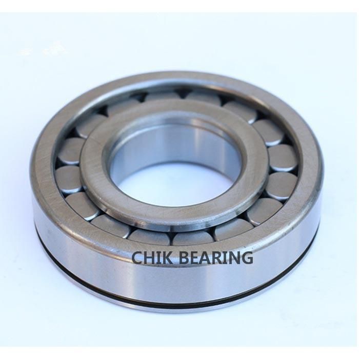 Chrome Steel Hydraulic Cylindrical Roller Bearing Pump Bearing F-84874 F-11487 F-56718