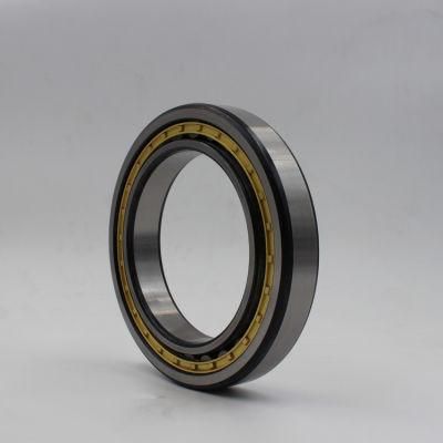 Nn3008K Nn3008K1n1 Nn3008 Nn3009K Nn3009ktn Nn3009K/W33 Nn3009 Koyo NTN Nsa Cylindrical Roller Bearing