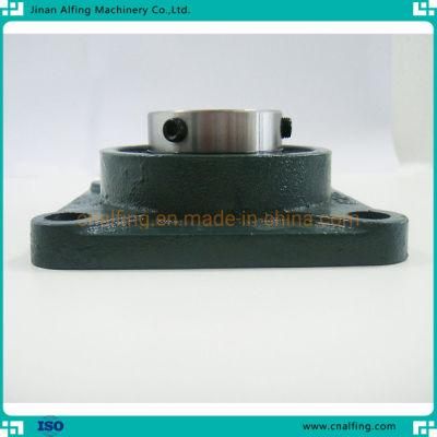 China Bearing with Housing Bearing / Pillow Block Bearing