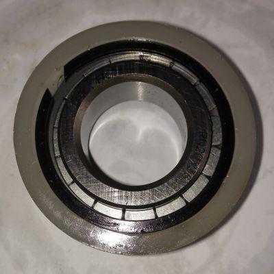 Cylindrical Roller Bearing Single Row Planetary Bearing Rn20X36.81X16V for Brevini