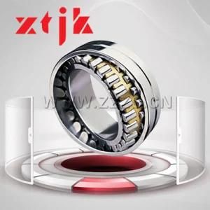 Stainless Steel Double Row Cylindrical Roller Self-Aligning Bearing