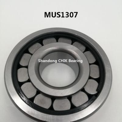 Auto Bearing Car Bearing Cylindrical Roller Bearing MU1306 MU1307 MU1308 MU1309