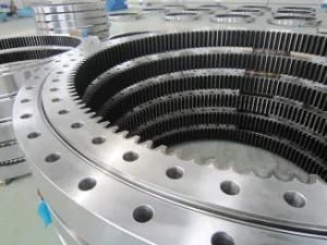 Slewing Bearing