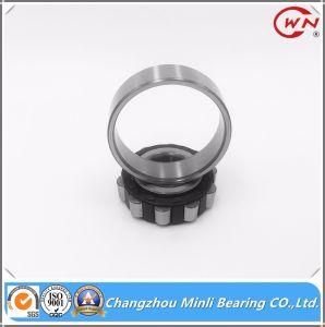 German Quality Cylindrical Roller Bearing Nj