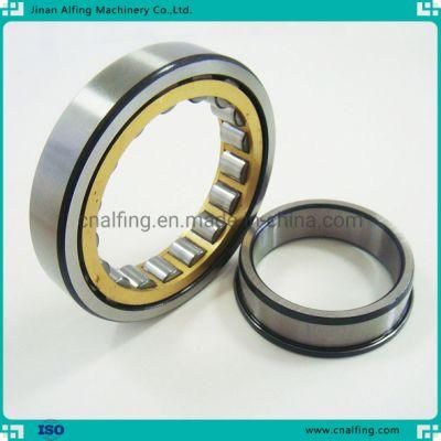 Nu Nj Nup N NF Cylindrical Roller Bearing Rolling Bearing