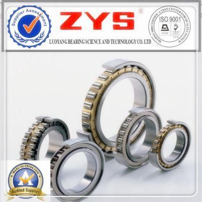 Cylindrical Roller Bearings N1024k