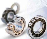 Stainless Steel Ball Bearings Open Type: Z, ZZ, RS, 2RS, 2RZ