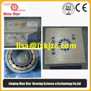 Nu212ecm/C4hva3091 Insulated Bearings: Nu212