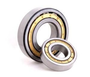 High Quality Cylindrical Roller Bearings