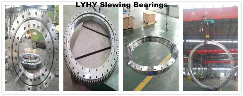 Small Size Slewing Ring Bearing Without Gear Nb1.20.0744.201-2ppn