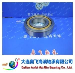 A&F Bearing/ Cylindrical Roller Bearing NJ306M