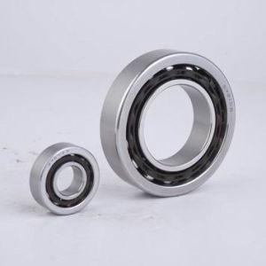 Stainless Steel Double-Row Angular Contact Ball Bearing (SS5300-SS5312)