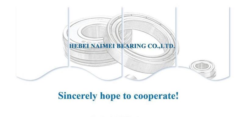 China Supplier High Quality Ball Bearing 6302 6203 6301 2RS