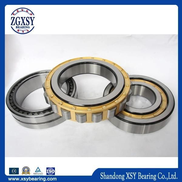 Factory/Cylindrical Roller Bearing (NJ,)