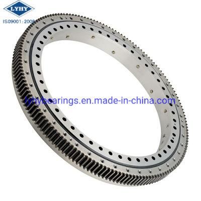 Crane Bearing 01-2130-00 Slewing Bearing Slewing Ring Bearing