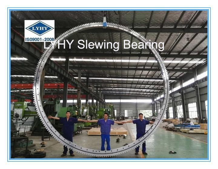 Slewing Ring Bearings for Harbor and Shipyard Cranes 161.50.3000.891.41.1503