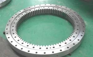 I. 1166.20.00. B Slewing Bearing/Slewing Ring/Turntable Bearing/Ball Bearing