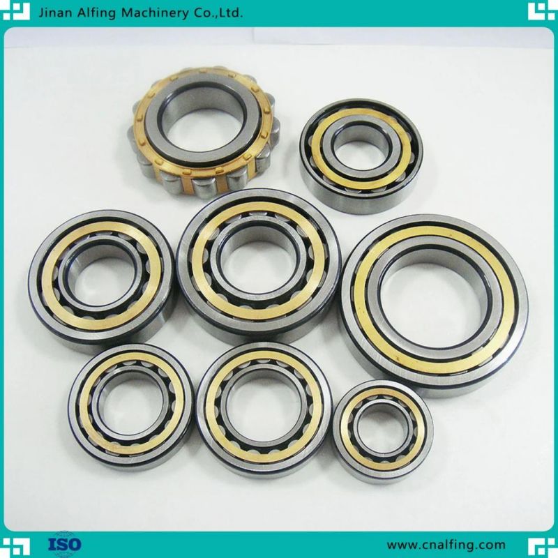 Full Complement Bearing Double/Single Row Cylindrical Roller Bearings