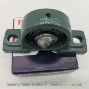 Plummer Block Bearing Housing Sy1. Tr with Cast Iron Pillow Block