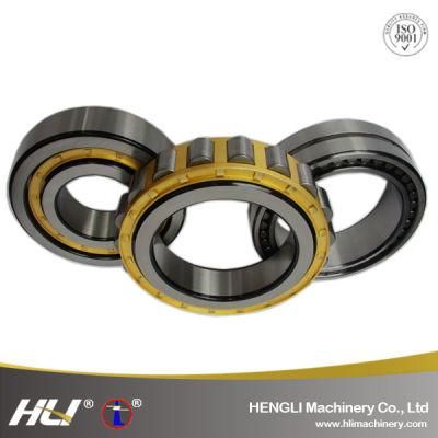 Single Row Cylindrical Roller Bearing for Machine Tool Accessories N208EM N209EM N210EM N211EM N212EM N213EM N214EM N215EM N216EM