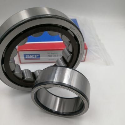 SKF Germany P6 Double Row Cylindrical Roller Bearing Nu Nj 310 2310 Nj311 Nj2311 Nj312 Nj2312