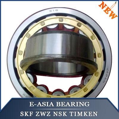 High Precision Pipe Cylindrical Roller Bearing for Mixing Machine Nu19/500