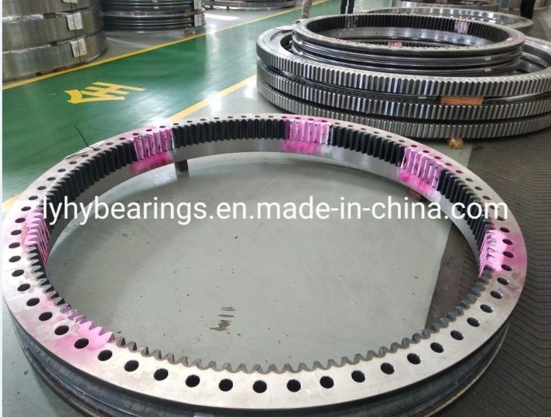 (RKS. 161.16.1204) Roller Slewing Ring Bearing (RKS. 161.16.1314) Turntable Bearing with External Gear Bearing