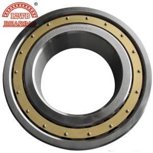 Chinese ISO Certified Cylinderical Roller Bearing (NJ2236EM)