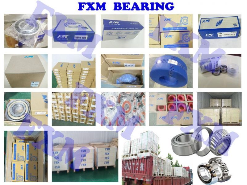 Inmsert Bearing Factory Fj Seal F Seal R3 Seal