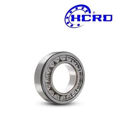 Good Price Manufacturer/Double Row Needle Roller Bearing/Cylindrical Nu217 Nu218 Nu219